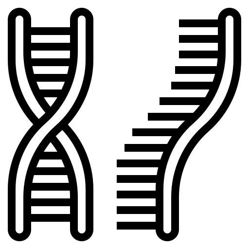 Image Biochimie, Génome